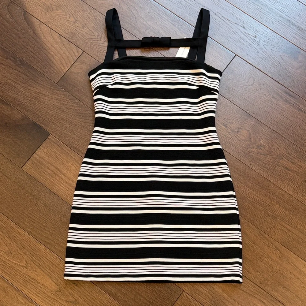 Hutch Black and White Striped Bodycon Mini Dress Small NWT C11-115